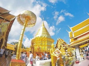 滇臺連線 共繪國內旅游新圖景